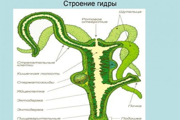 Зеркало омг онион тор